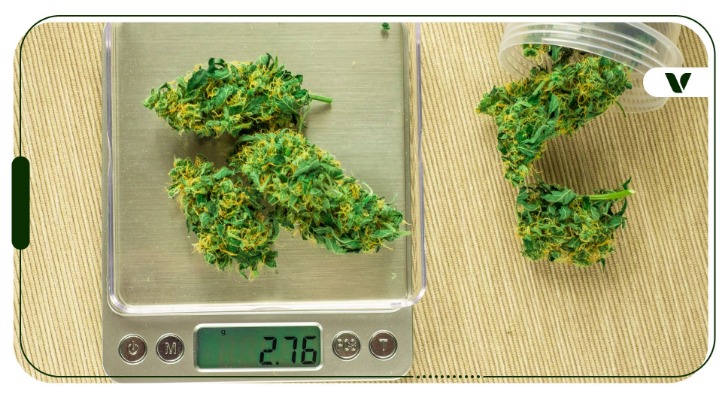weed darknet market