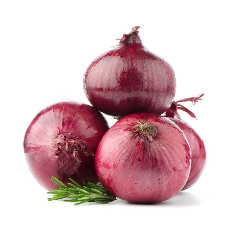 onion link search engine
