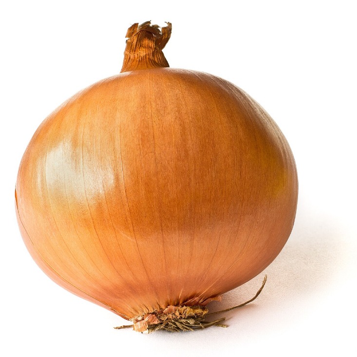 onion link search engine