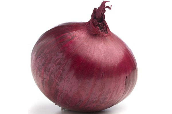 onion links