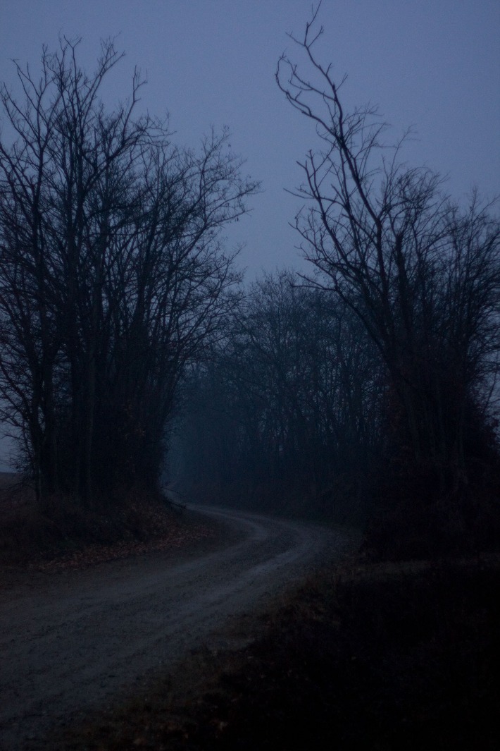 dark web market links