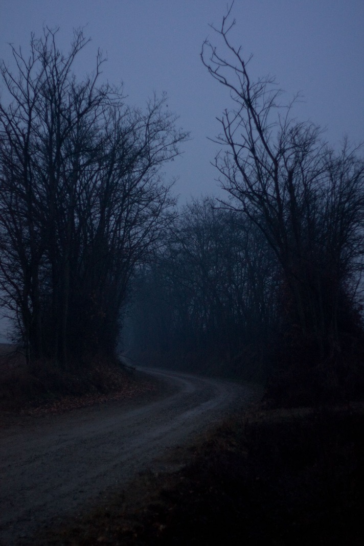 dark markets uruguay