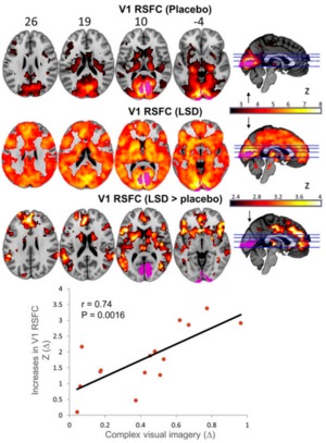 lsd drug wiki