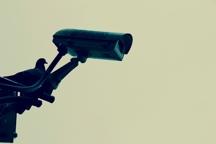 monitoring the dark web