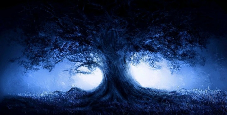 dark markets germany