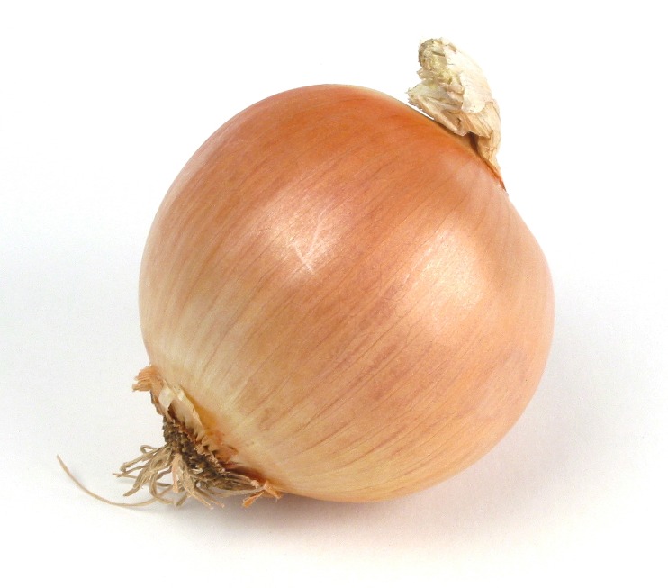 onion deep web search