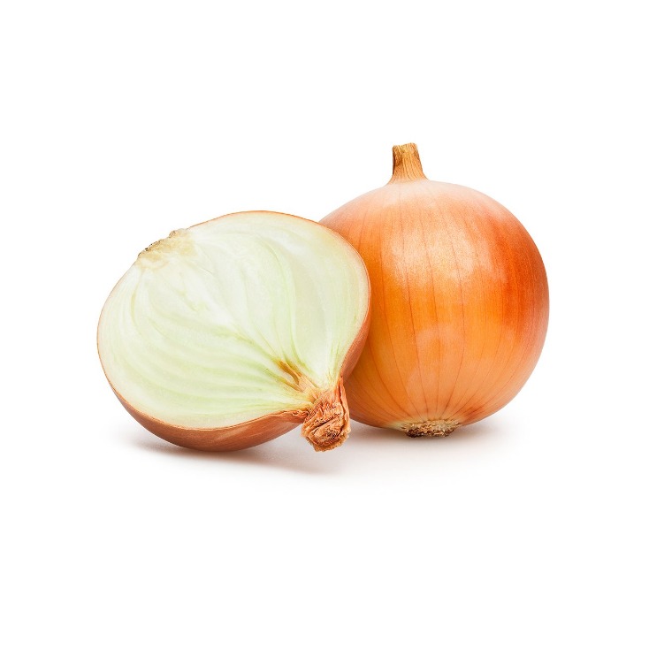 onion dark web list
