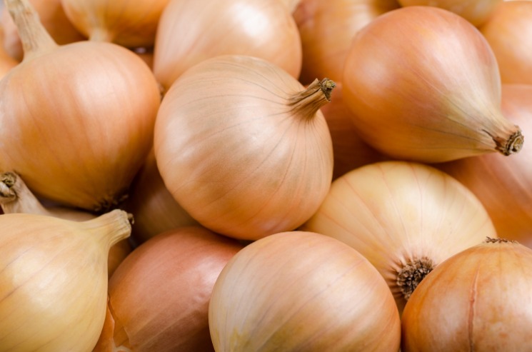 onion dark web list