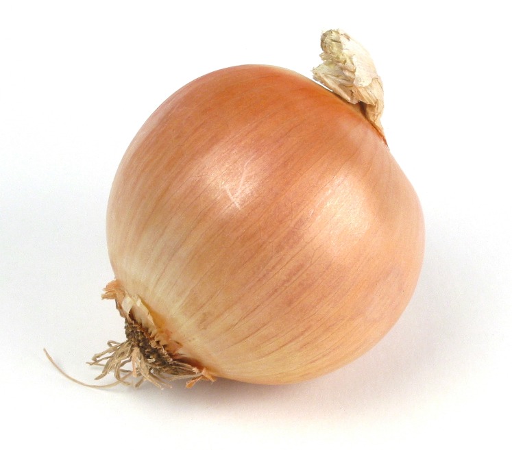 onion dark web list