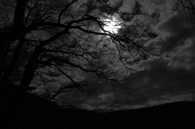 dark web drug market 2024