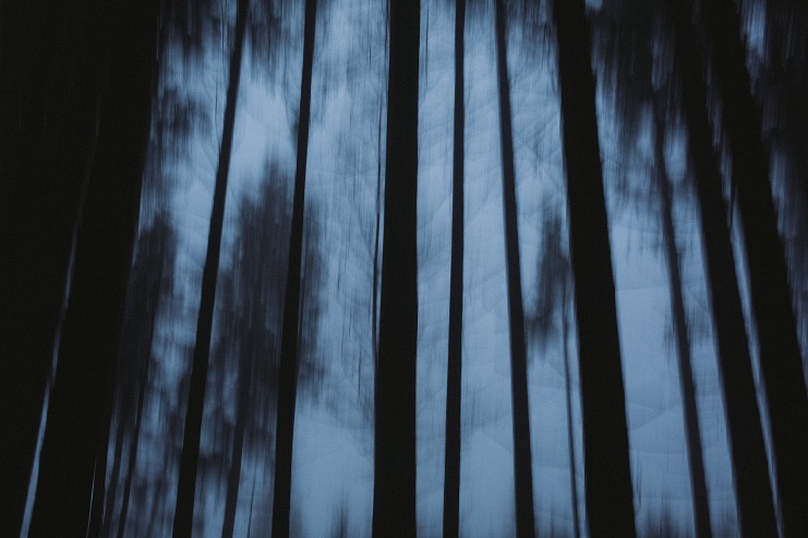 dark web drug market 2024