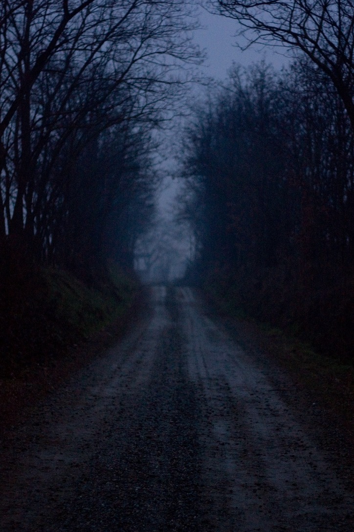 dark web drug market 2024