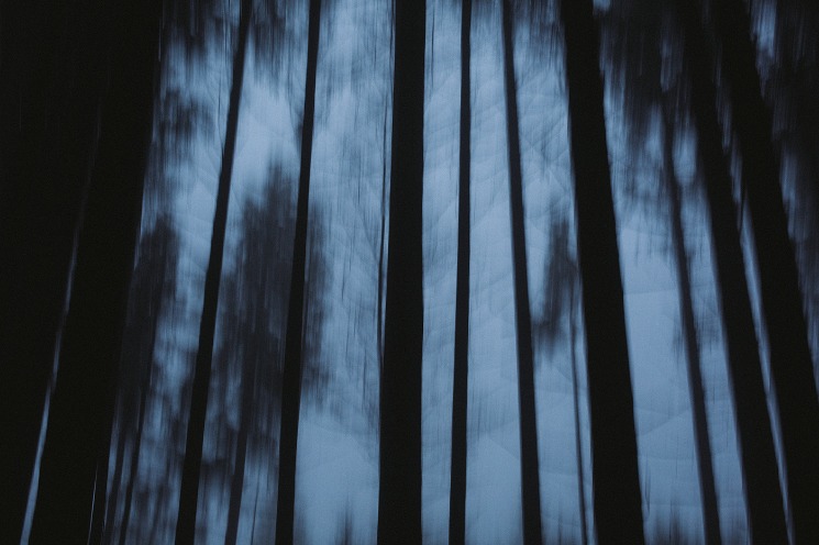 dark web prepaid cards reddit