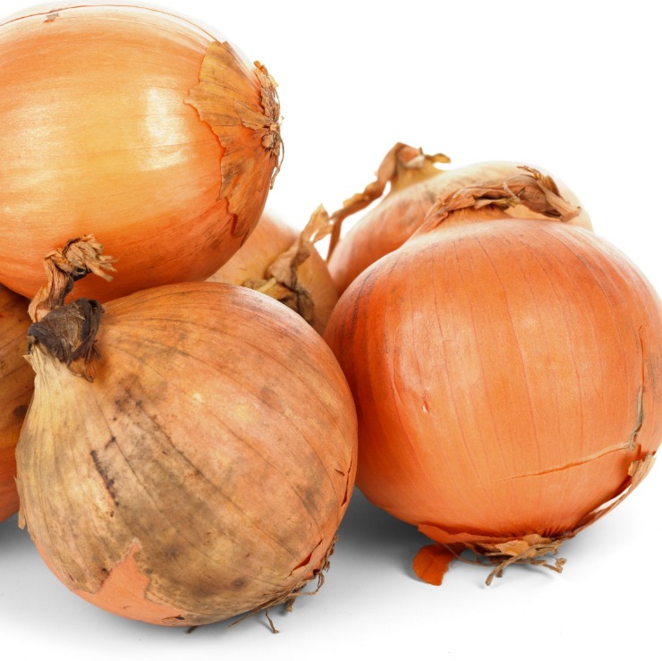 onion dark web