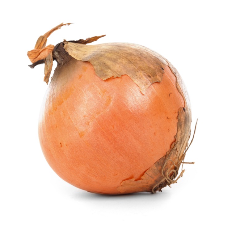 onion dark web