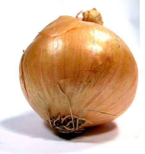 onion links sites