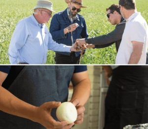 links onions