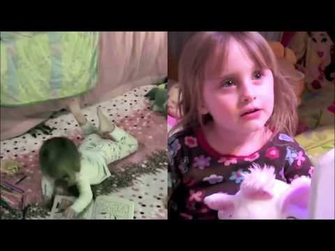 dark web onion sites