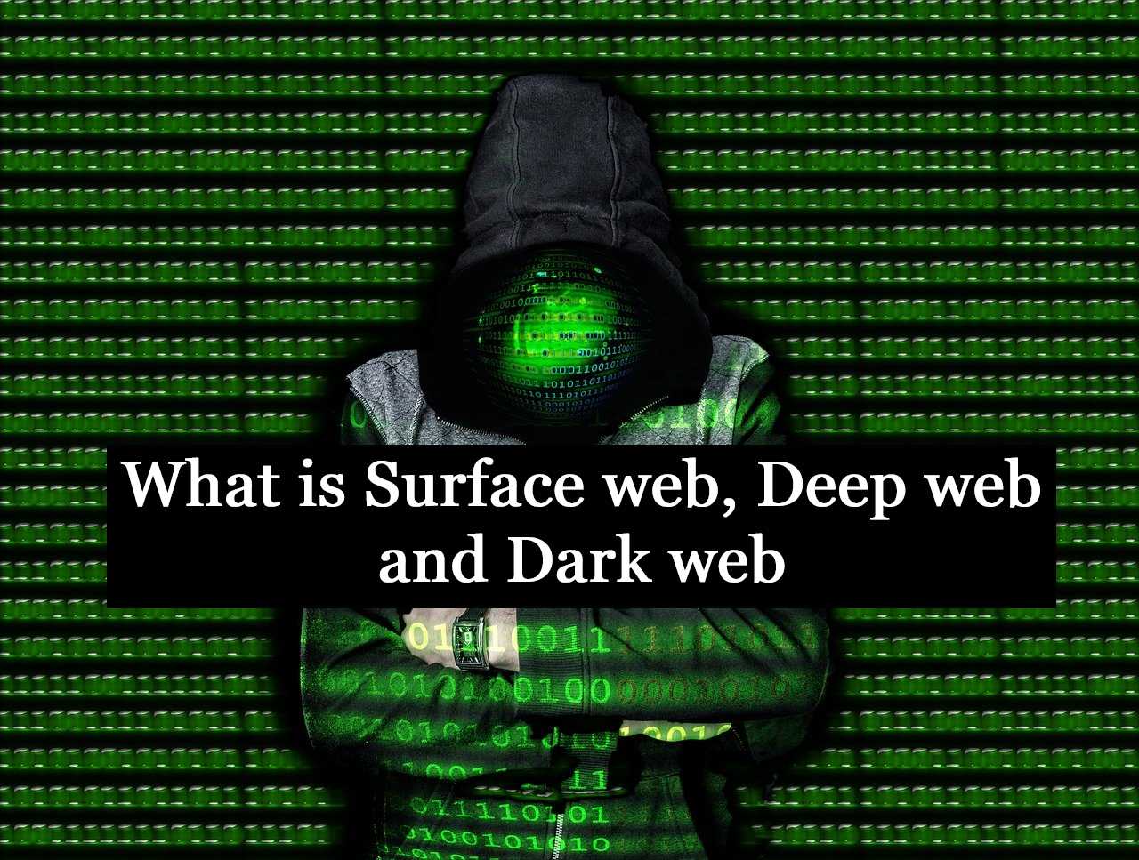 how to accses the dark web
